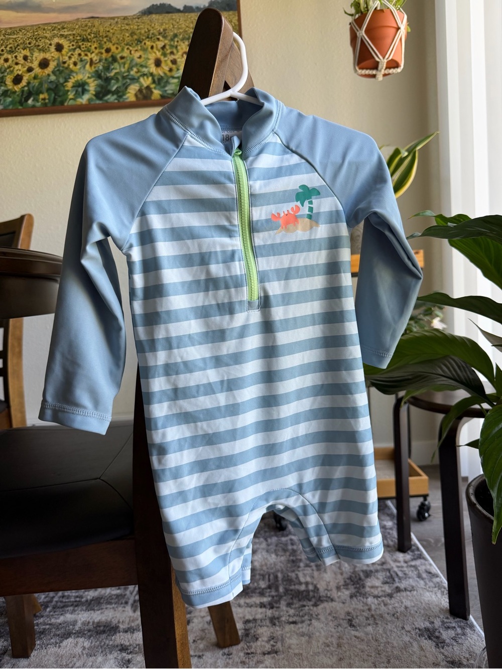 baby boy striped long-sleeve one-piece rashguard swimsuit size 18m